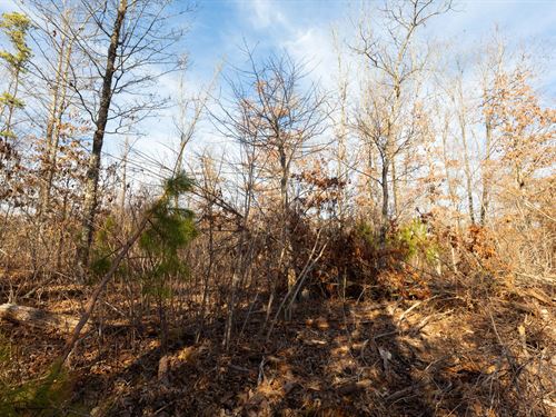 $499 Down Available : Hartshorn : Texas County : Missouri