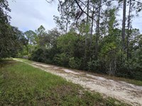 Retirement Nest, Low Monthly Cost : Georgetown : Putnam County : Florida