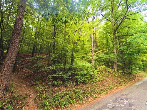 Own 3.1 Acres Near Nashville : Spring City : Rhea County : Tennessee