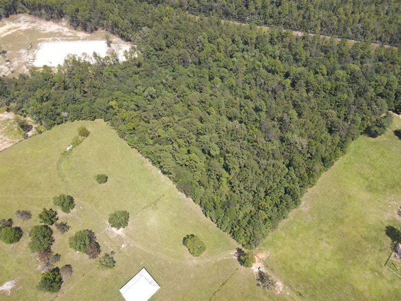 10 Acres Tract 3 in George Count : Lucedale : George County : Mississippi