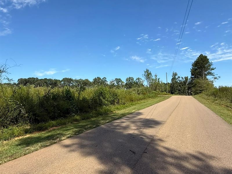 19.5 Acres in Scott County, MS : Forest : Scott County : Mississippi