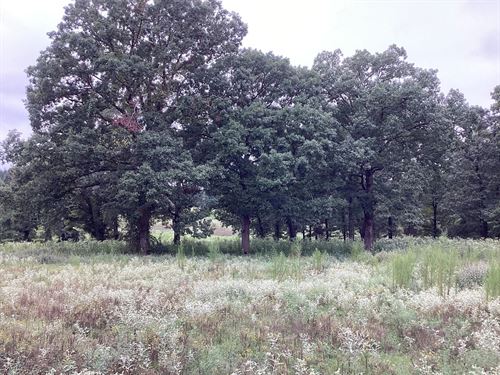 20 Acres In McCurtain County, OK : Broken Bow : McCurtain County : Oklahoma