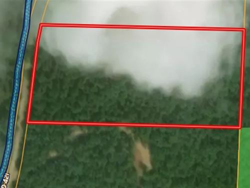 Ozark Haven Borders National Forest : Birch Tree : Shannon County : Missouri