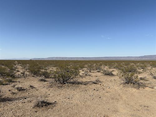 Owner Financing, No Credit Check : Golden Valley : Mohave County : Arizona