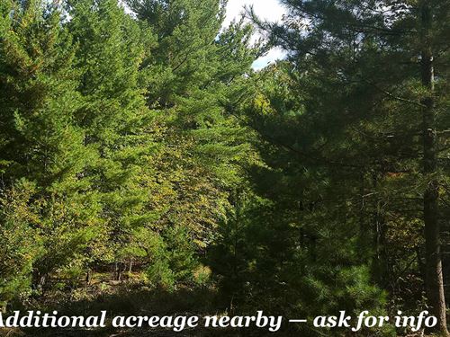 This is a Smart Investment : Solon Springs : Bayfield County : Wisconsin