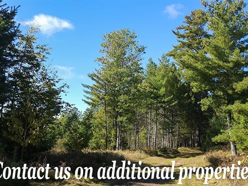 Perfect Basecamp for Adventure : Solon Springs : Bayfield County : Wisconsin