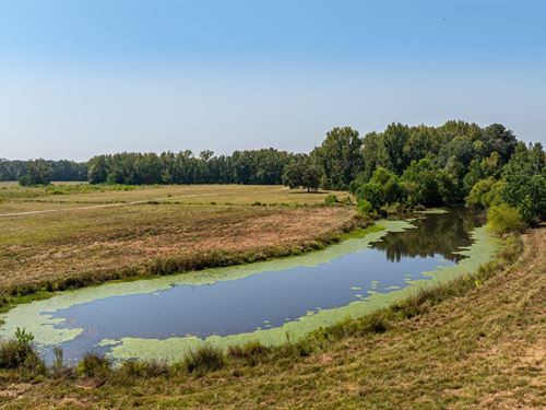Open Meadows, Mature Oaks And a Pon : Wetumpka : Elmore County : Alabama