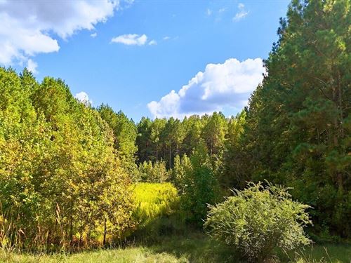 1 Acre of Residential Land For Sale : Middlesex : Nash County : North Carolina