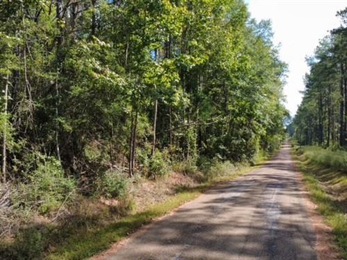Hidden Pines : Liberty : Amite County : Mississippi
