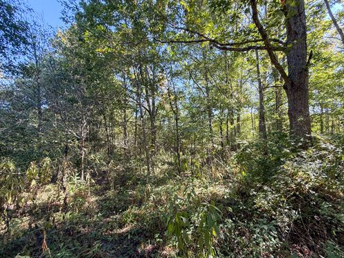 Country Rd 2.78 : Jewett : Harrison County : Ohio