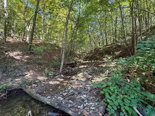 Kingsridge Rd 13.531 : East Liverpool : Columbiana County : Ohio