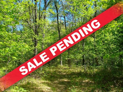 Affordable Northwoods Paradise : Tomahawk : Oneida County : Wisconsin