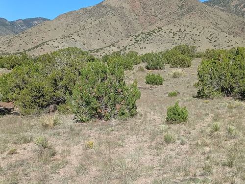 Dirt Bike Haven on 3.9 Acres : Belen : Valencia County : New Mexico