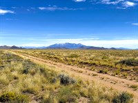 5 Acre Flat Colorado Land Awaits : San Acacio : Costilla County : Colorado