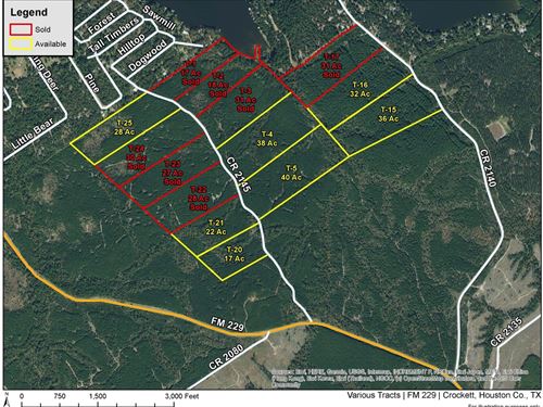 17 Acres, T-20, CR 2145 : Wheeler Springs : Houston County : Texas