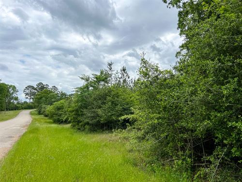 17 Acres, T-20, CR 2145 : Wheeler Springs : Houston County : Texas