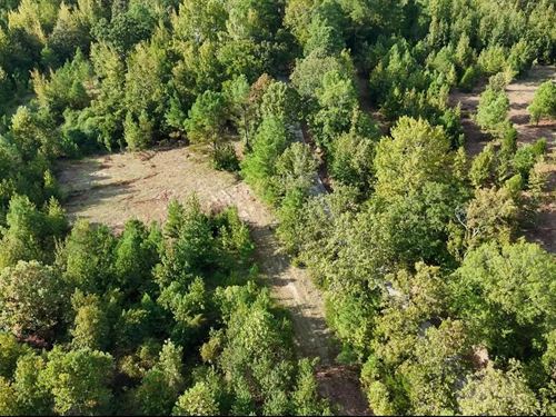 7.5 Acres In Lafayette County, MS : Oxford : Lafayette County : Mississippi
