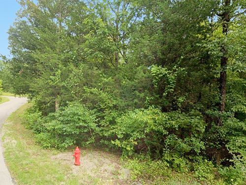 Treed Lot with Utilities : Cherokee Village : Sharp County : Arkansas