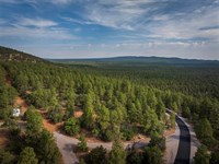 Forested Lot, Power & Paved Roads : Ramah : Cibola County : New Mexico