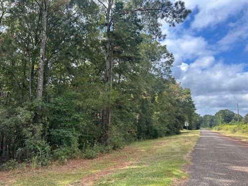 Abbeville Lot And Homesite : Abbeville : Henry County : Alabama