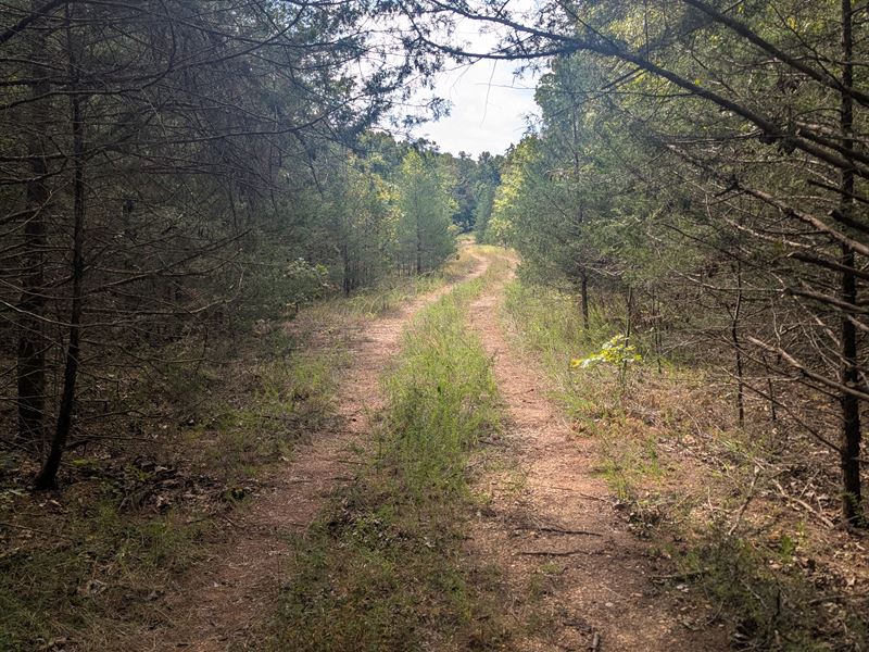.29 Acres Near Crown Lake : Horseshoe Bend : Izard County : Arkansas