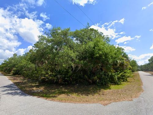 Corner Lot Near Ollie's Pond Park : Port Charlotte : Charlotte County : Florida