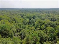 Flowers 10 : Jacksonville : Lonoke County : Arkansas