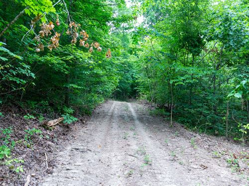 No Credit Check, $999 Down : Monticello : Wayne County : Kentucky