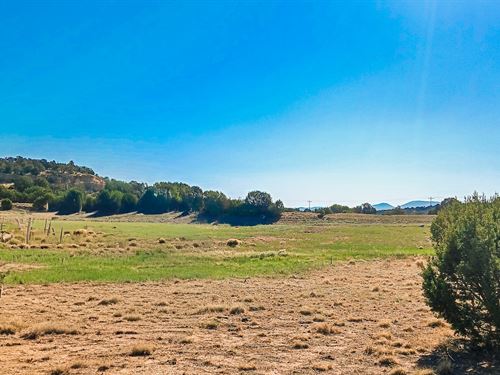 Escape to Arizonas High Desert : Concho : Apache County : Arizona