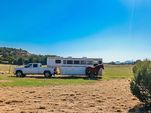 Escape to Arizonas High Desert : Concho : Apache County : Arizona
