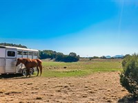 Escape to Arizonas High Desert : Concho : Apache County : Arizona