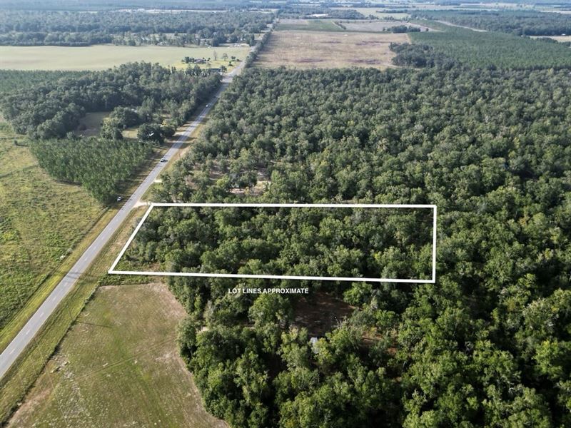 Hawkins Estates Lot-4 : Branford : Suwannee County : Florida