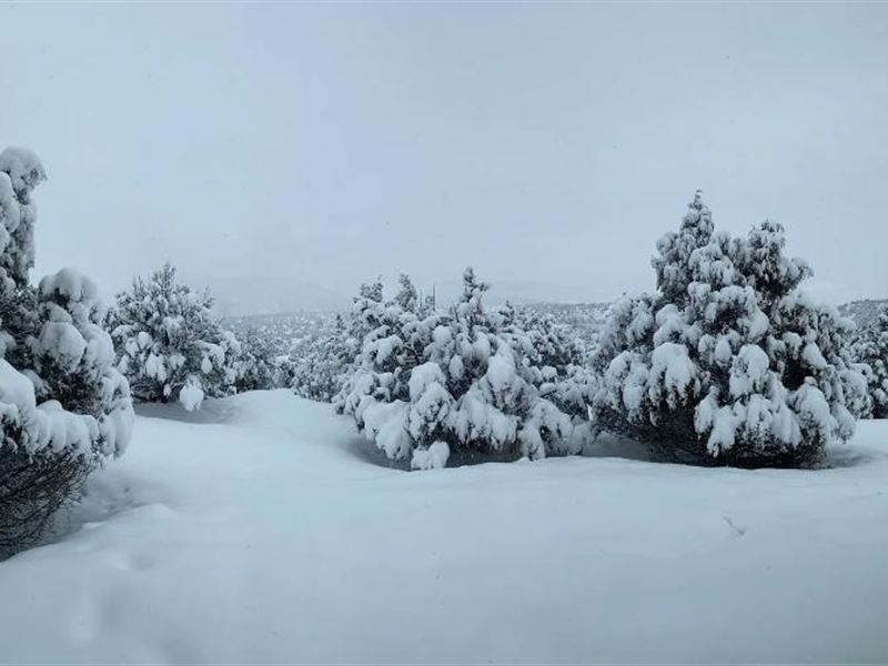 Exquisite 5-Acre Costilla County : San Luis : Costilla County : Colorado