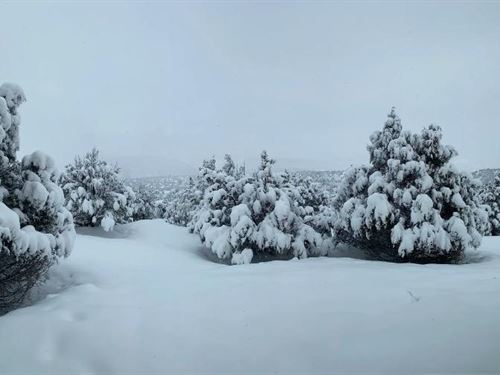 Exquisite 5-Acre Costilla County : San Luis : Costilla County : Colorado