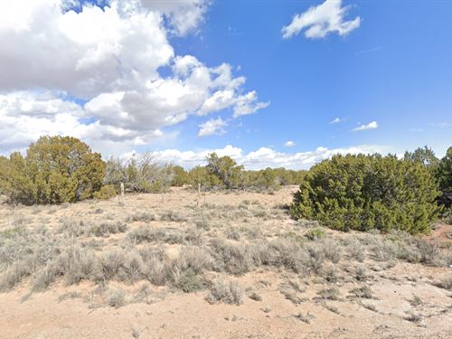 2.5 Acres Stargazer's Sanctuary, AZ : Saint Johns : Apache County : Arizona