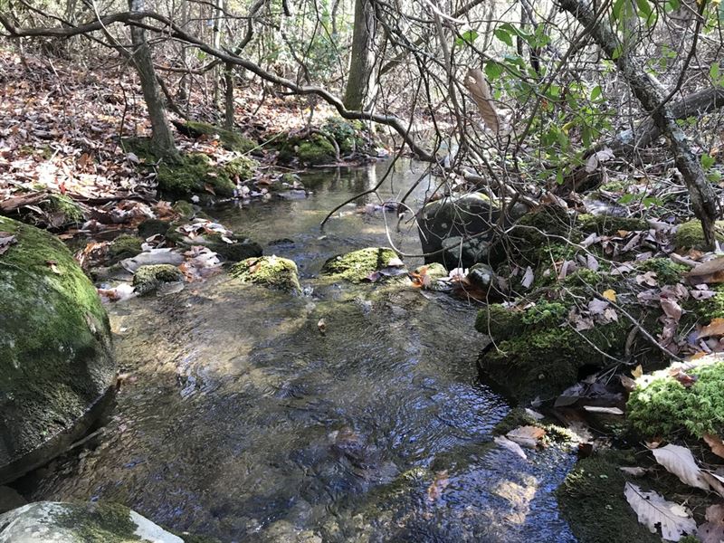 11.91 Acres, Wooded & Private : Pikeville : Bledsoe County : Tennessee