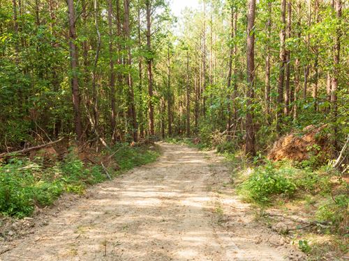 $999 Down Raw Land : Lexington : Henderson County : Tennessee