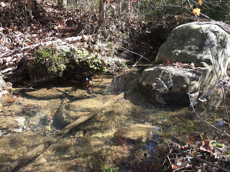 12.59 Acres, Homesites, Wooded : Pikeville : Bledsoe County : Tennessee