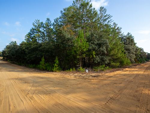 Retire Smart, Own Land for $210/Mo : Interlachen : Putnam County : Florida