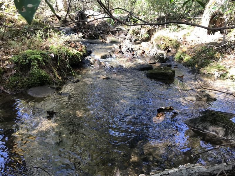 11.01 Acres, Stream, Homesites : Pikeville : Bledsoe County : Tennessee