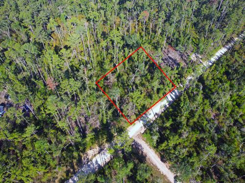 1/2 Acre Lot Just Off The Suwannee : Live Oak : Suwannee County : Florida