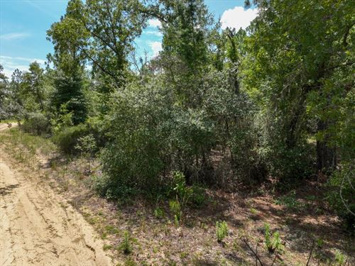 Buildable Lot, Reduced Price : Interlachen : Putnam County : Florida