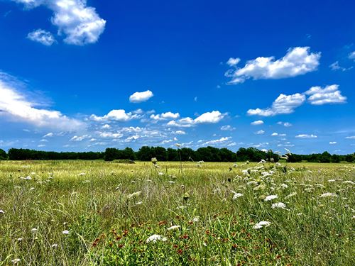 5+ Acres in Beautiful Nevada, Texas : Nebraska : Collin County : Texas