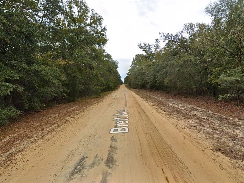 Simple, Peaceful, and Affordable : Interlachen : Putnam County : Florida