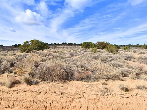 2 Acres of Peaceful Oasis in NM : Rio Rancho : Sandoval County : New Mexico