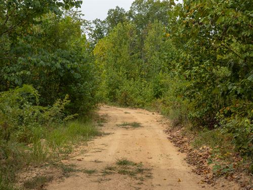 As Low as $499 Down Rural Land : Clifton : Perry County : Tennessee