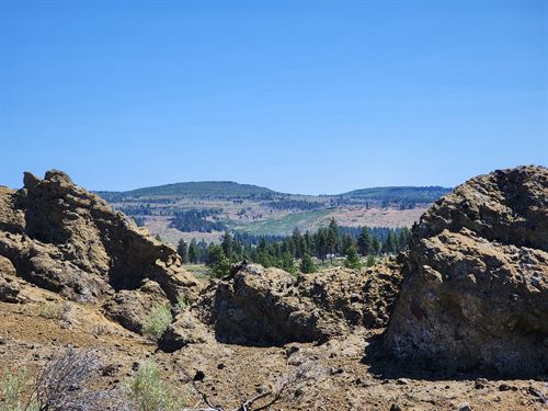 2.82 Acre Wilderness Sanctuary : Chiloquin : Klamath County : Oregon