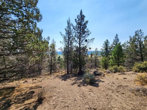 Mountain Views & Power Ready : Sprague River : Klamath County : Oregon