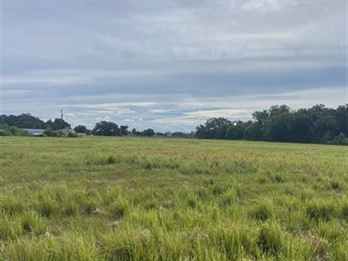 Absolute Auction, Plant City, FL : Plant City : Hillsborough County : Florida