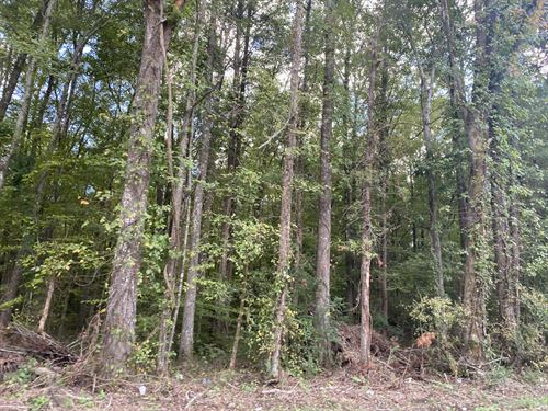 Wooded Land for Sale, Hardin County : Milledgeville : Hardin County : Tennessee